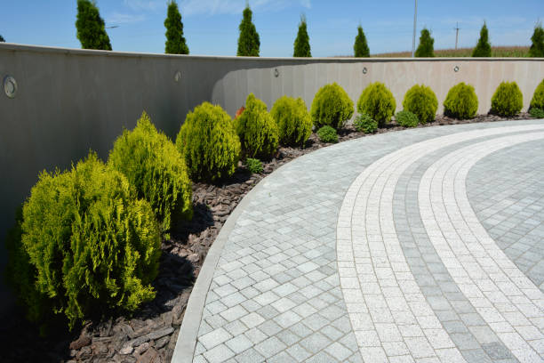 Reasons to Select Us for Your Driveway Paving Requirements in Homestead, PA